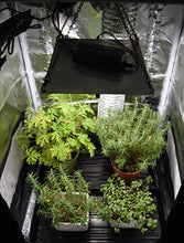 Load image into Gallery viewer, HLG 65 V2 4000K Horticulture Lighting Group Quantum Board LED Grow Light Veg & Bloom 4000K | Version 2 High-Efficiency Upgraded LM301B LED's